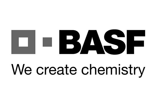 BASF case study | Culture transformation & Leadership Development | Primeast