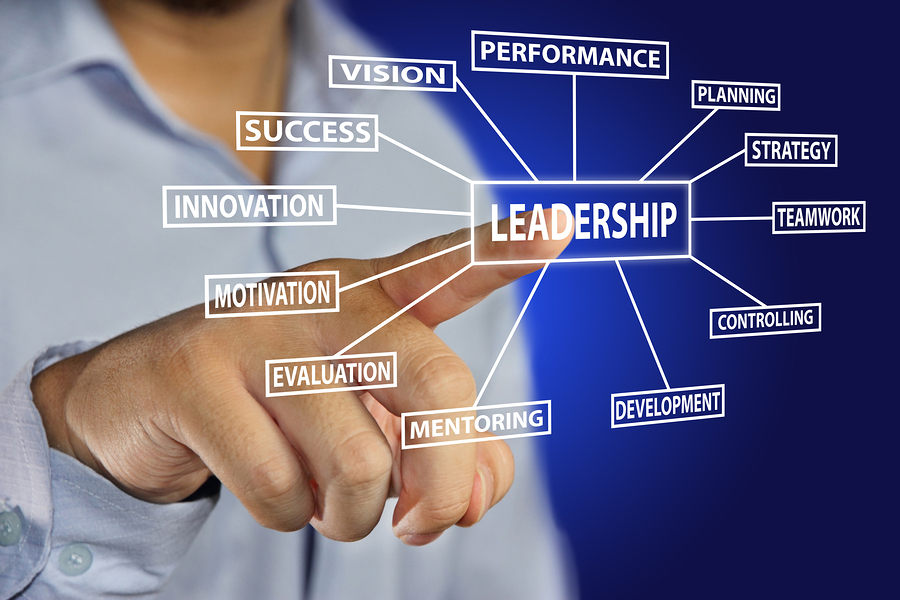 Insights| Leadership and Development | Primeast