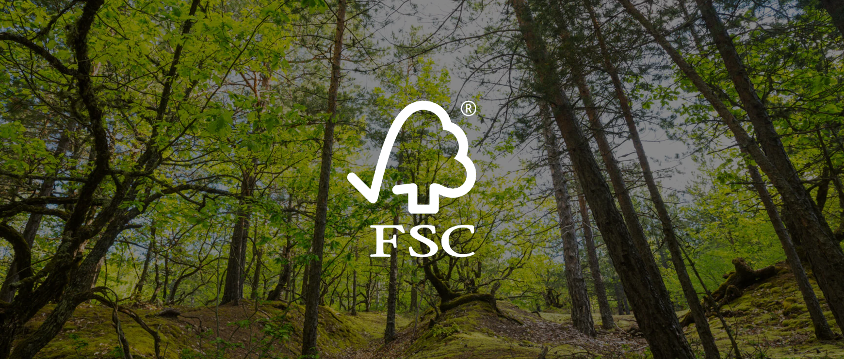 Forest Stewardship Council Case Study