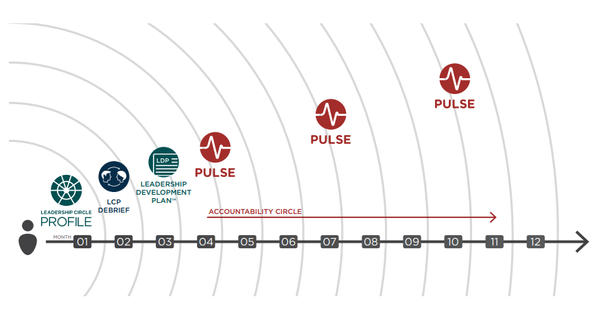 Leadership Development Plan + Pulse™ Journey for an Individual