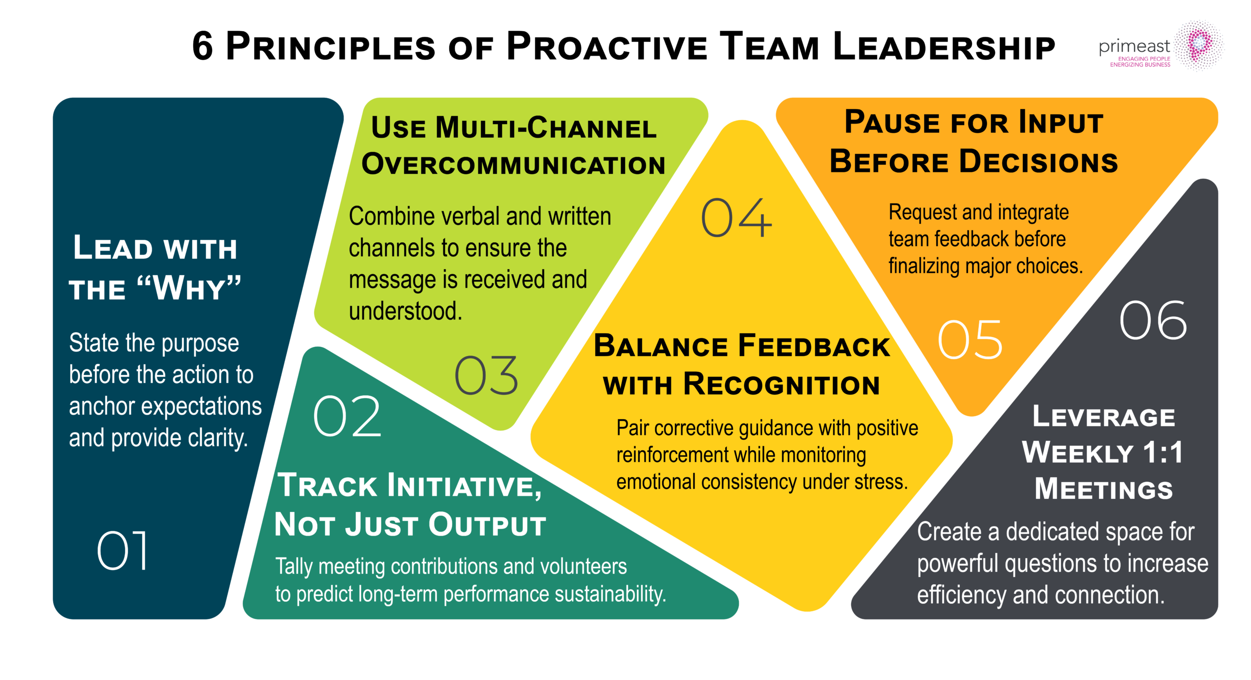6 Principles of Proactive Team Leadership scaled
